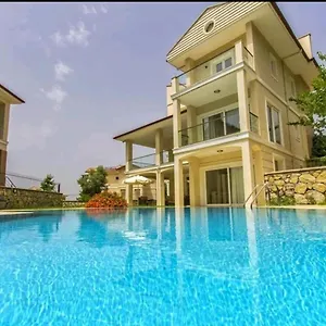 Beatrice Large Family Villa